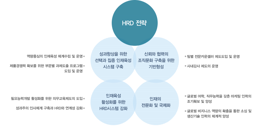 HDR전략